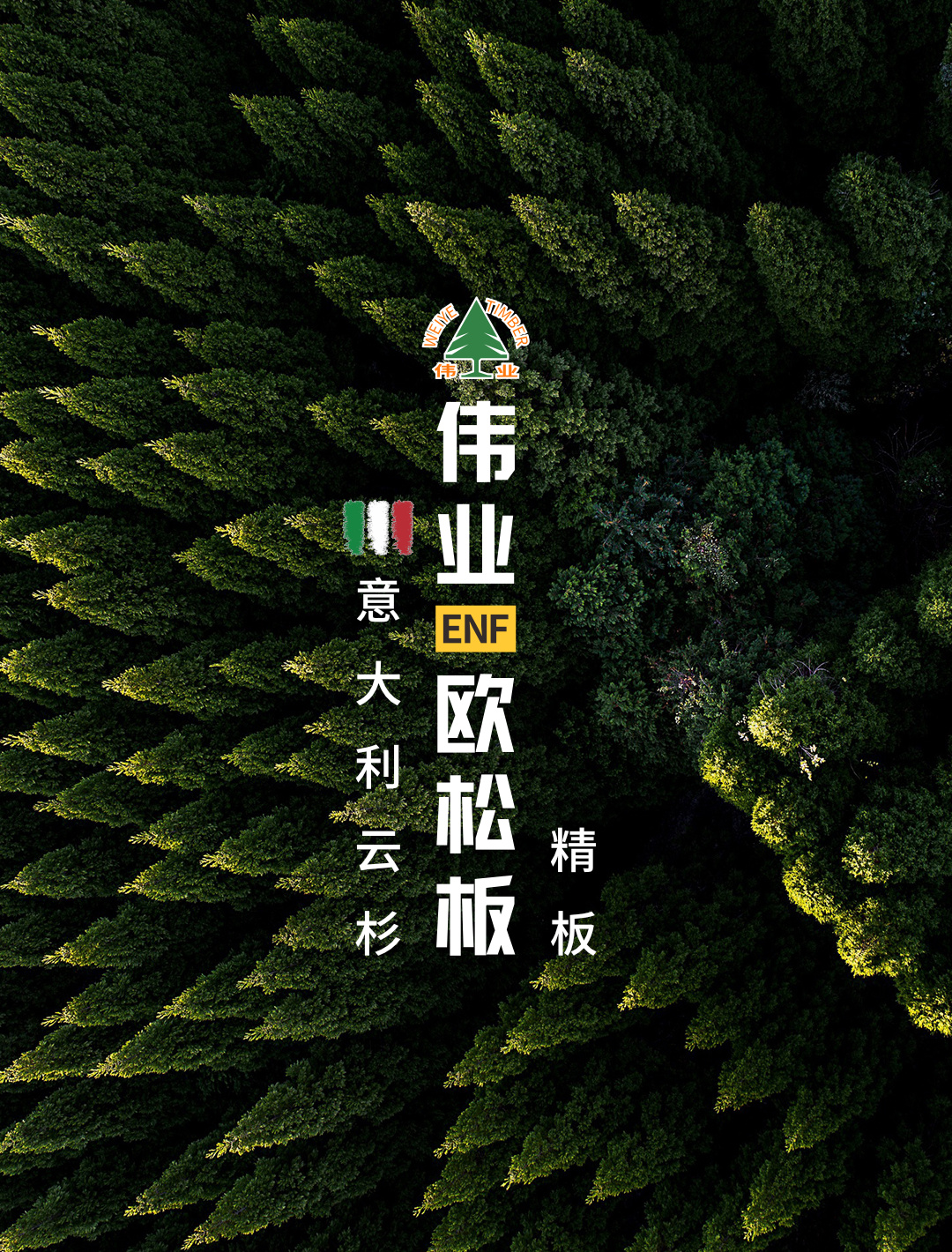 畫板1.jpg