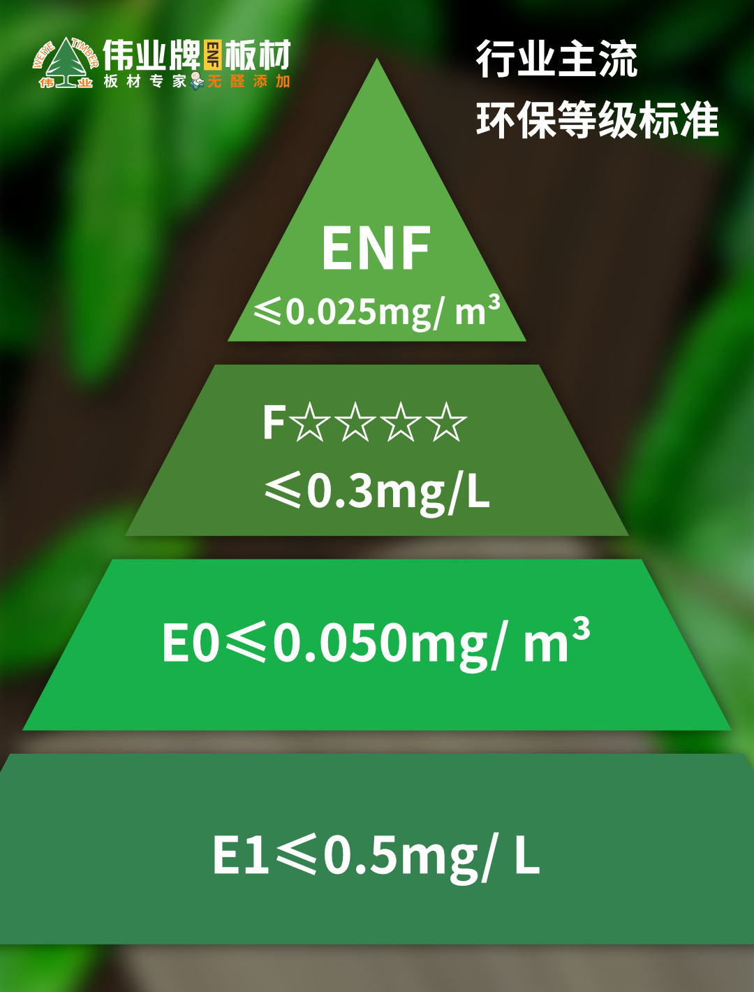 畫板5.jpg