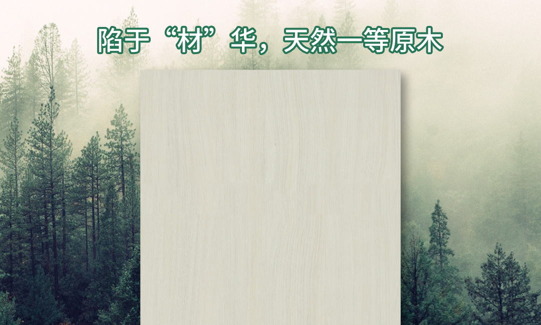 畫板3.jpg