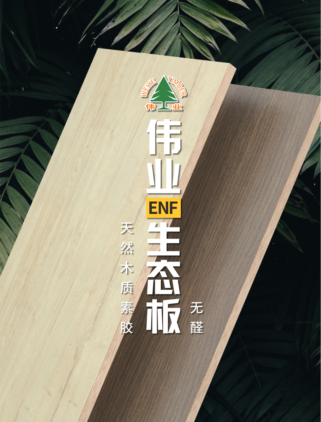 畫板3.jpg