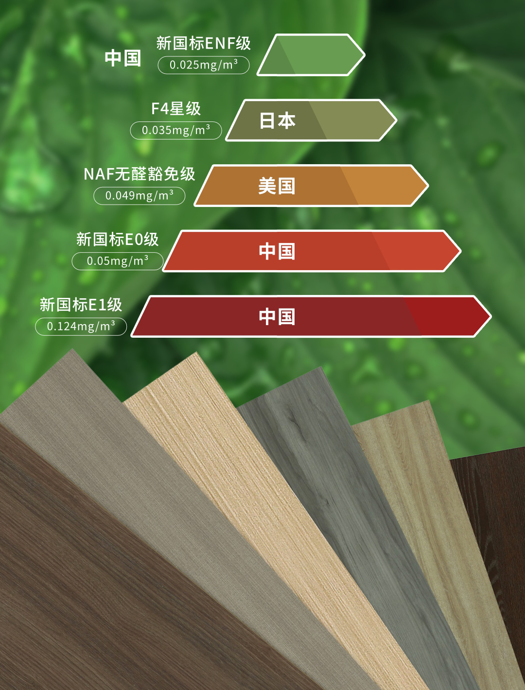 畫板6.jpg