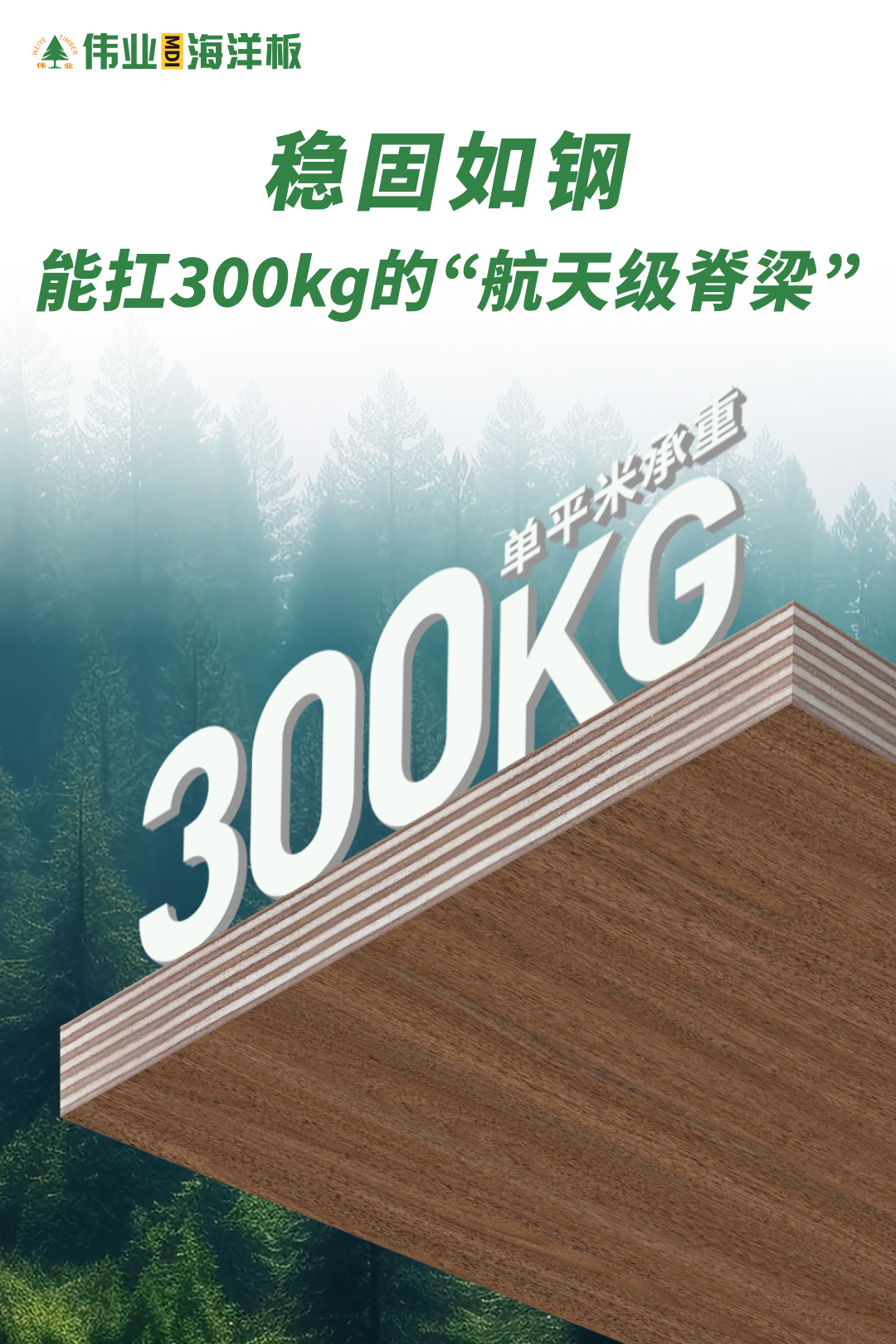 畫板3.jpg