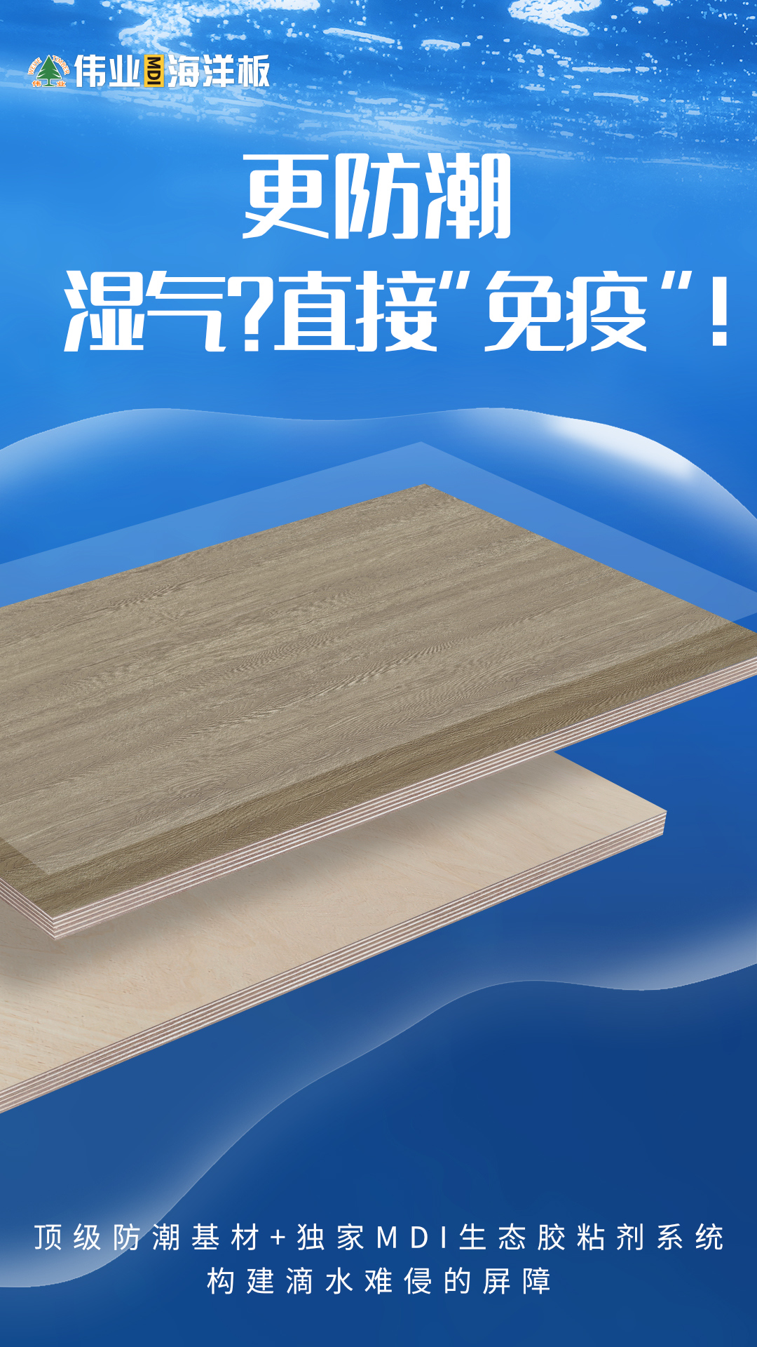 畫板2.jpg