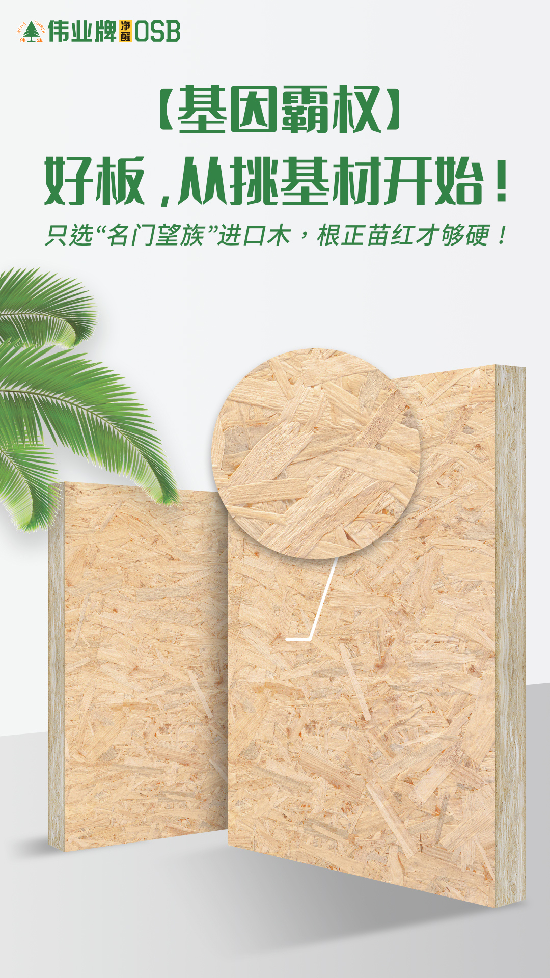 畫板2.jpg