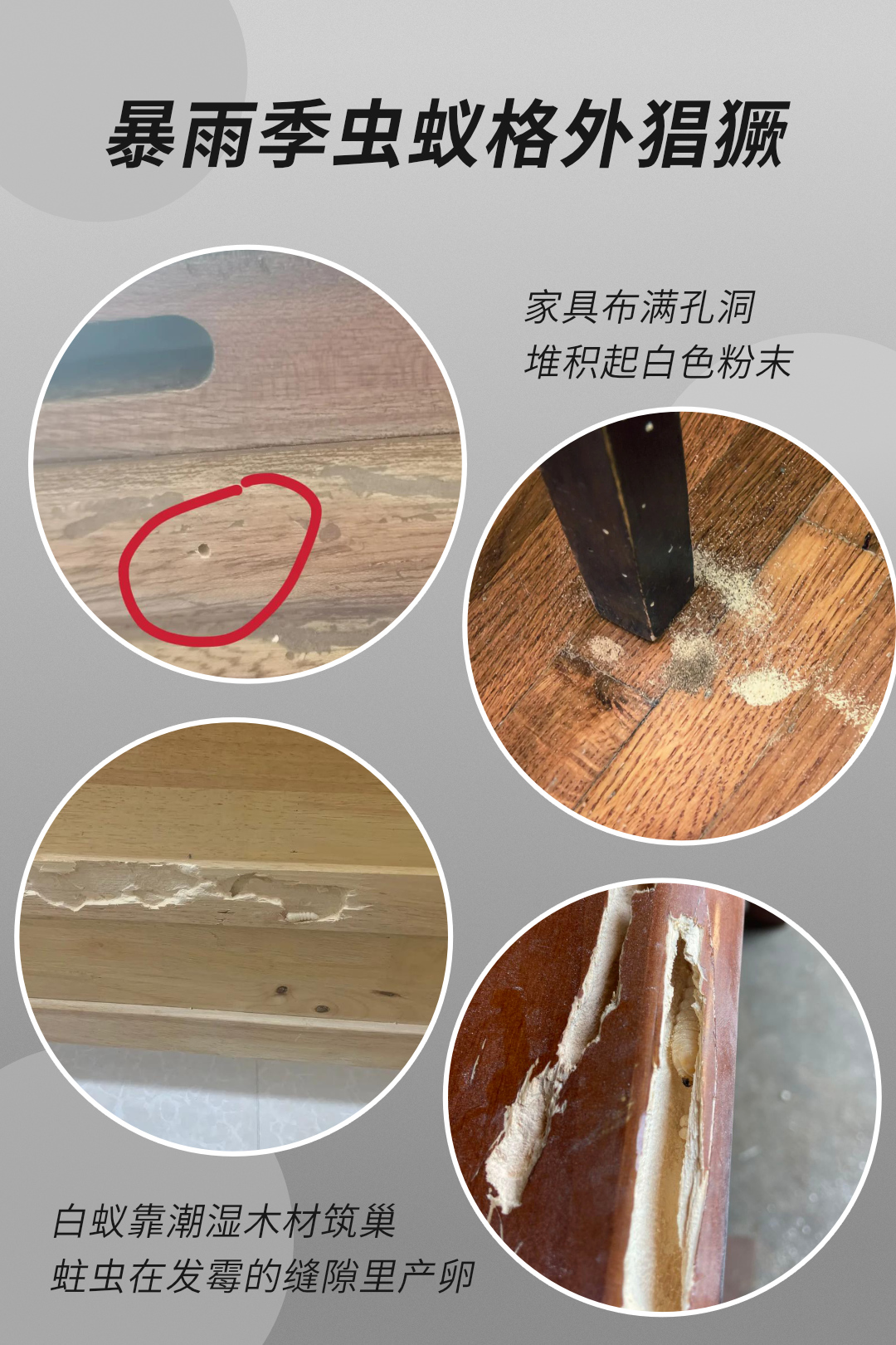 畫板2.jpg
