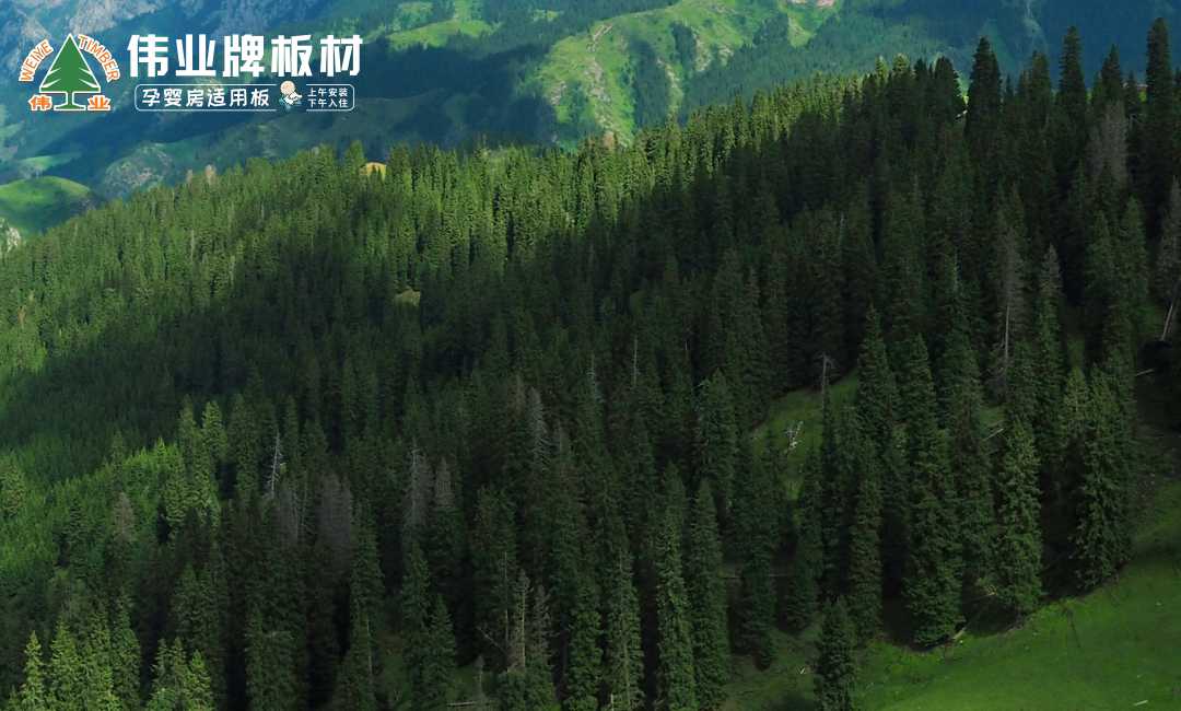 畫板1.jpg