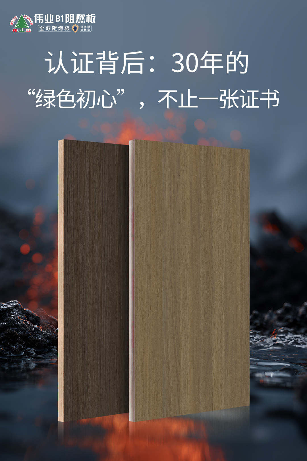 畫板4.jpg